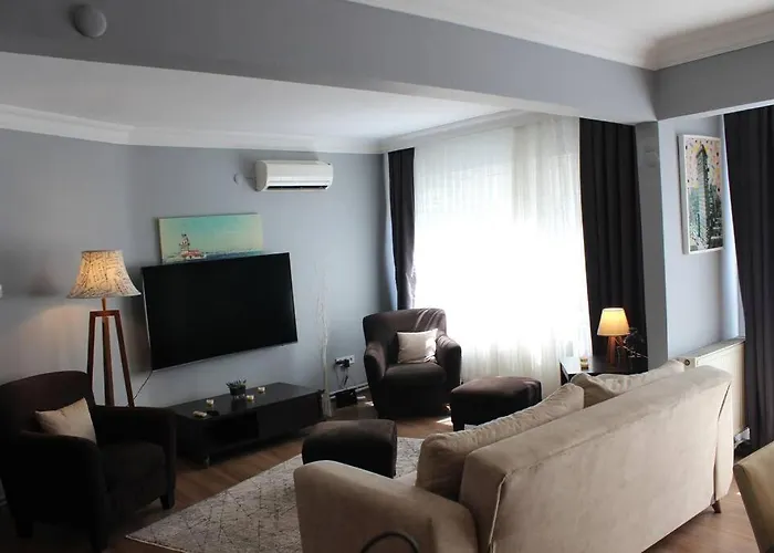  Ando Living Taksim House